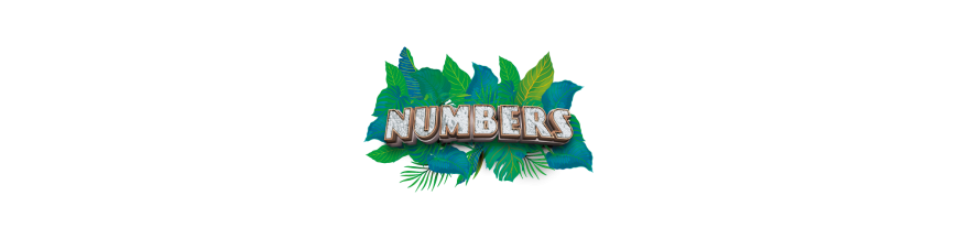 Numbers